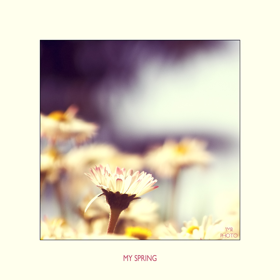 My Spring