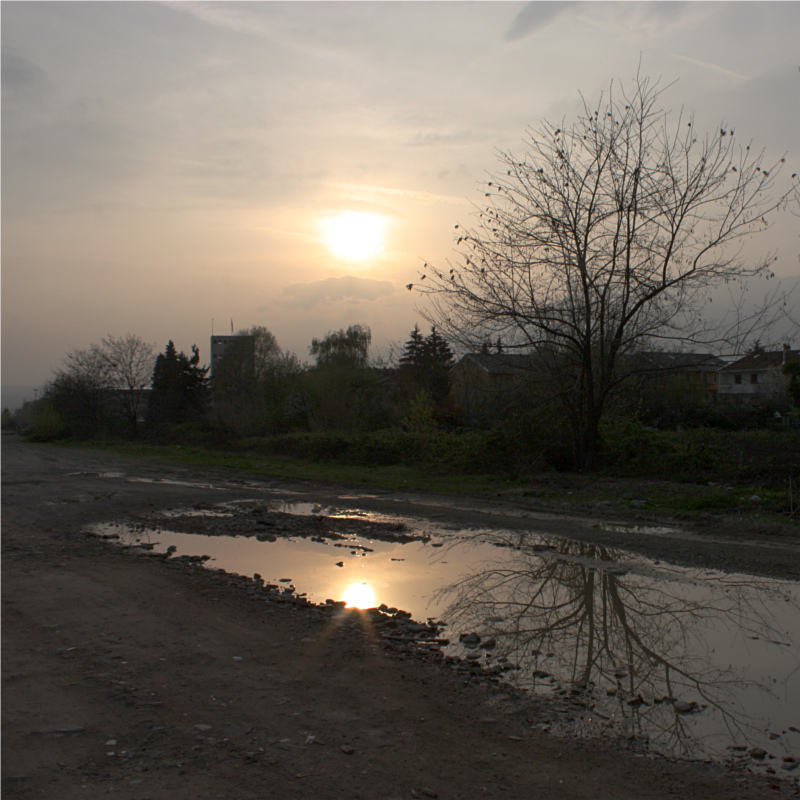 Il sole in una pozzanghera