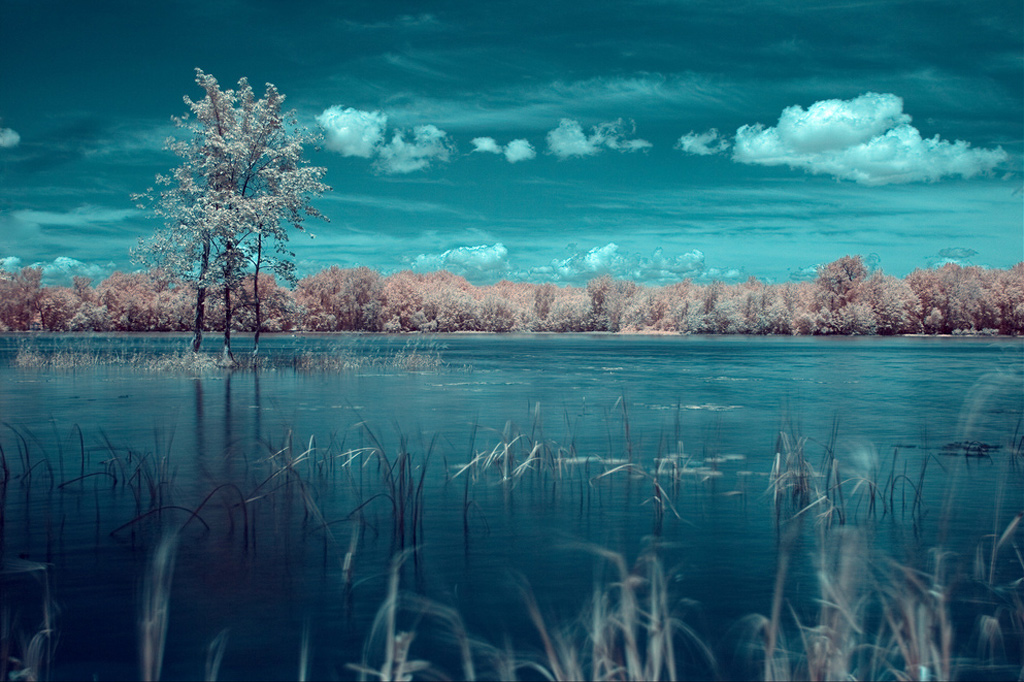 every day should be sunday