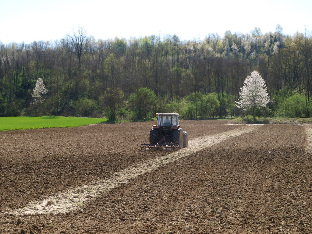 l'ultima strisciolina....