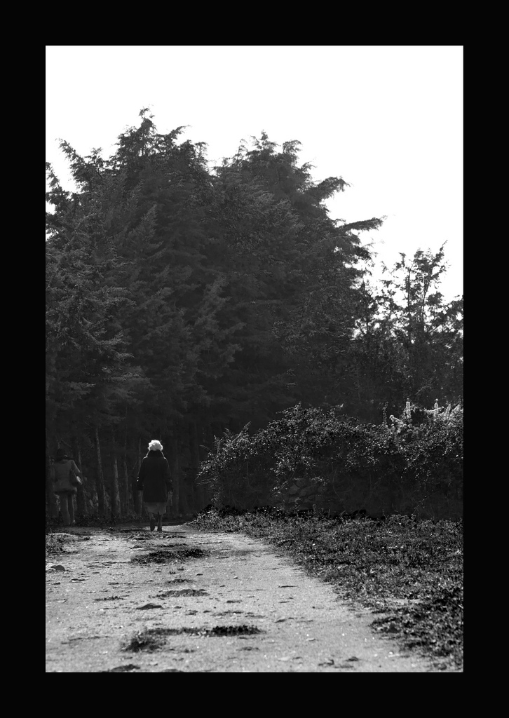 ..tornare..andare..aspettare..