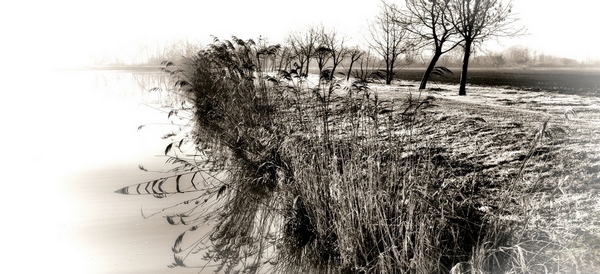 Canale bassa Reggiana