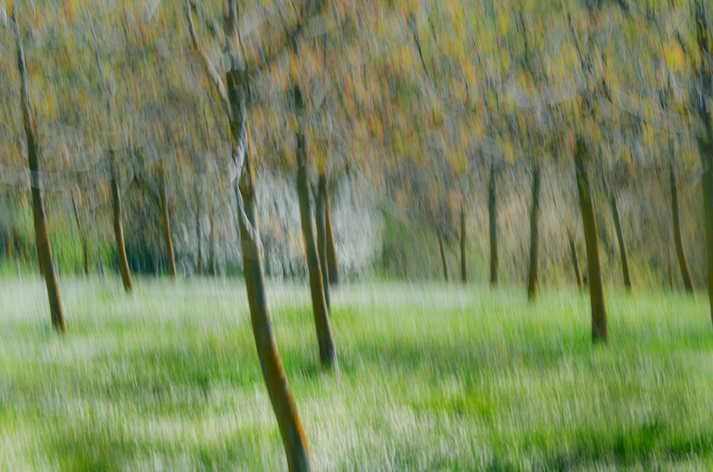 Pastelli di primavera