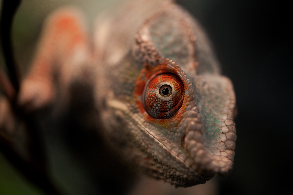 Guardami negli occhi