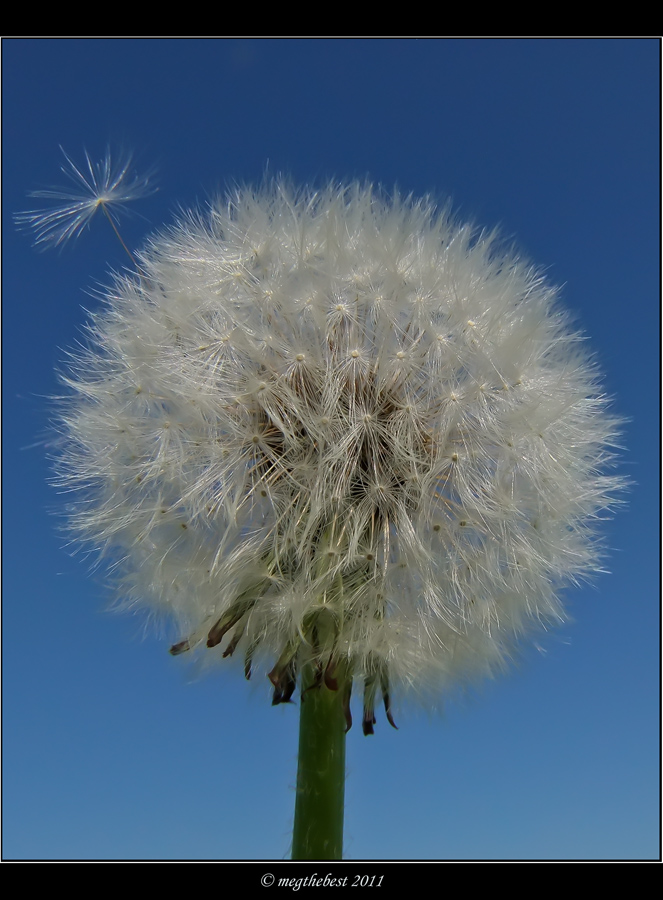 con un soffio svanisco
