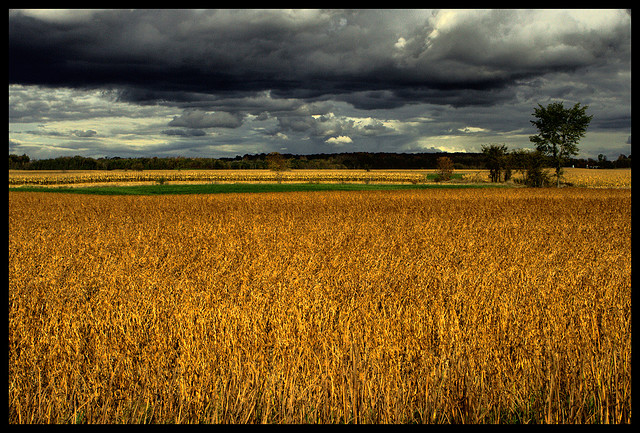 vine ploaia. bine-mi pare