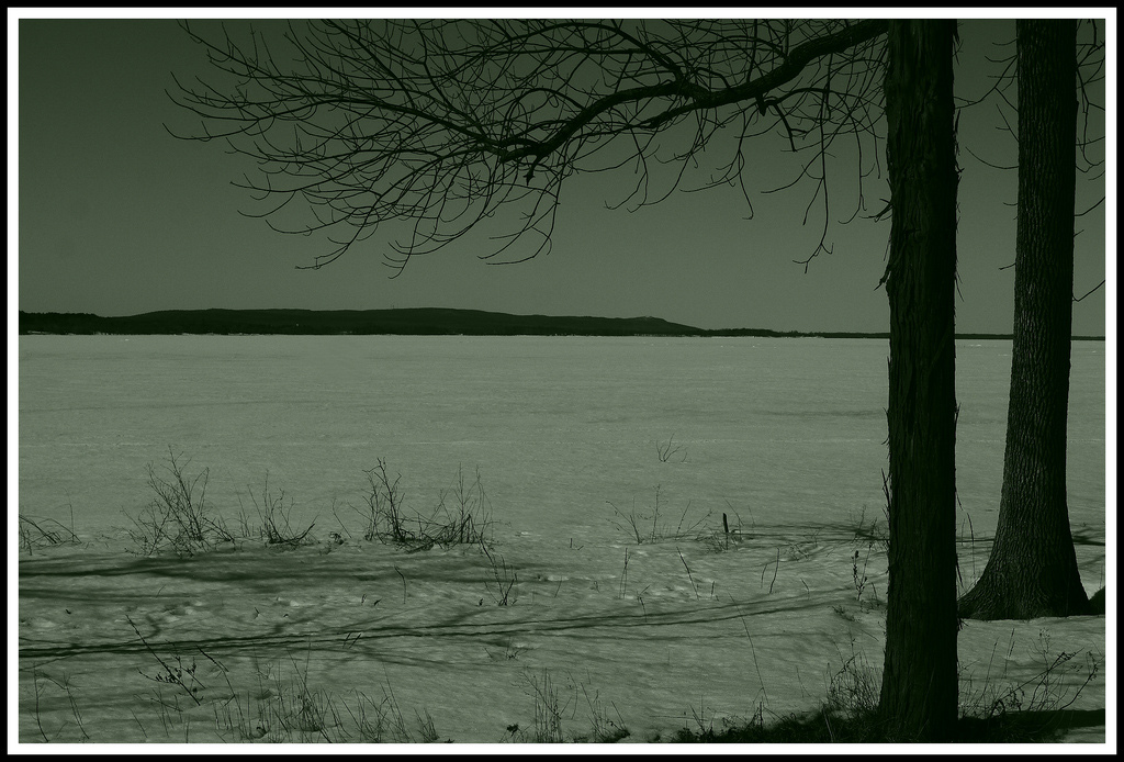 nope, no springtime here