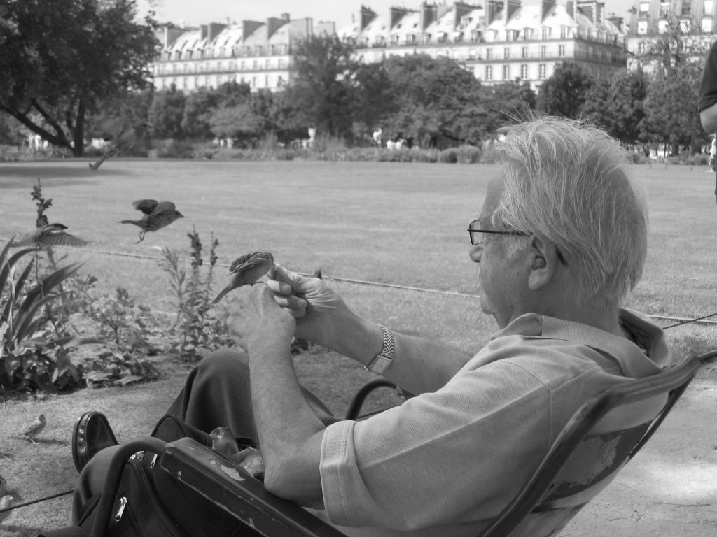 L'Anziano e gli uccellini