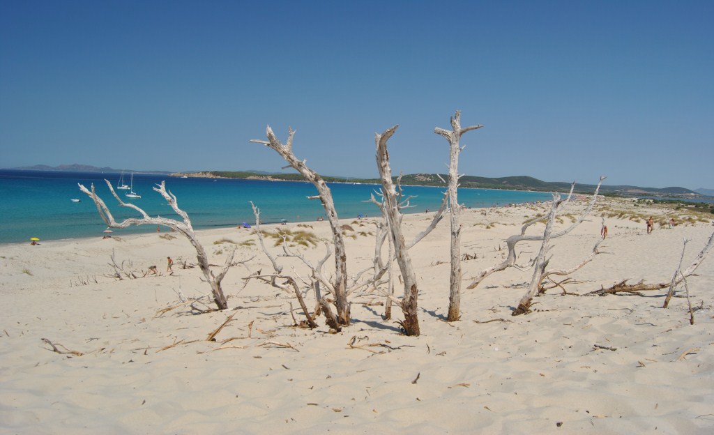 le dune porto pino sardegna 2010