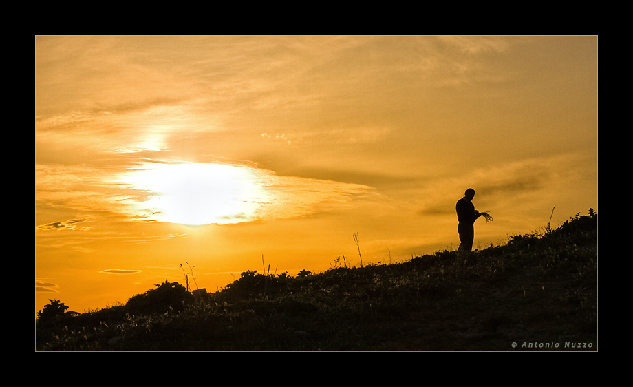 Per una ciocca di asparagi.....