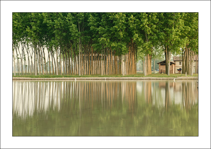 Allineamenti riflessi