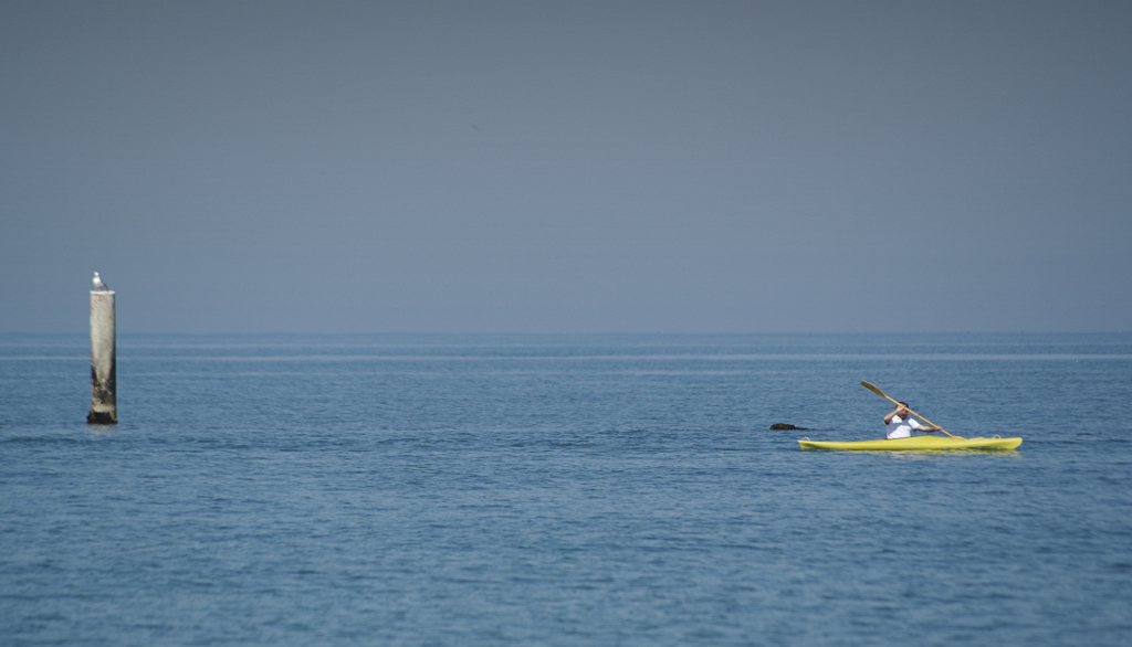 Solo, come ... un gabbiano.