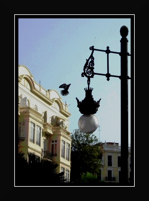 pilota a torre di controllo ...tento un atterraggio di fortuna!