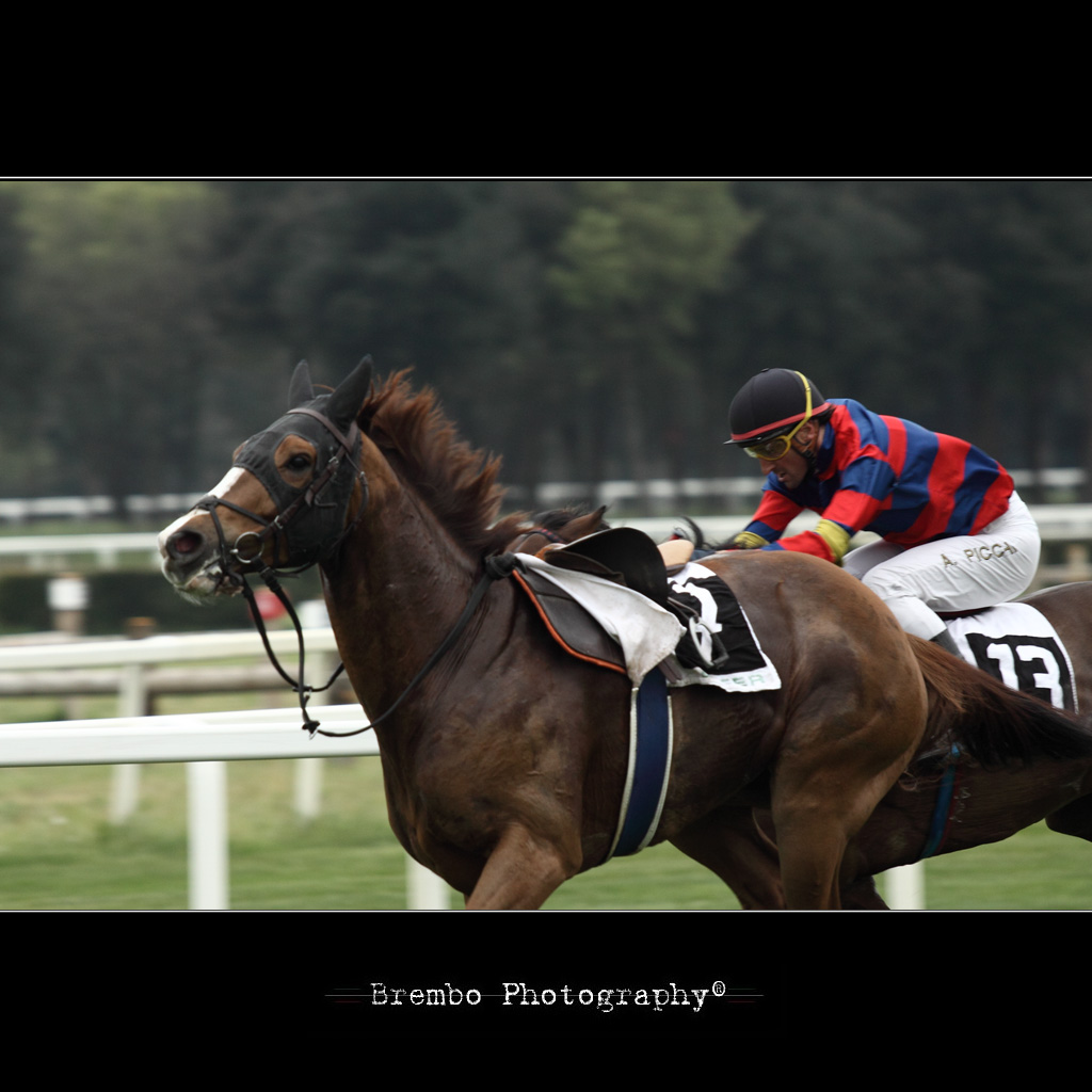 Meglio soli...che mal montati...