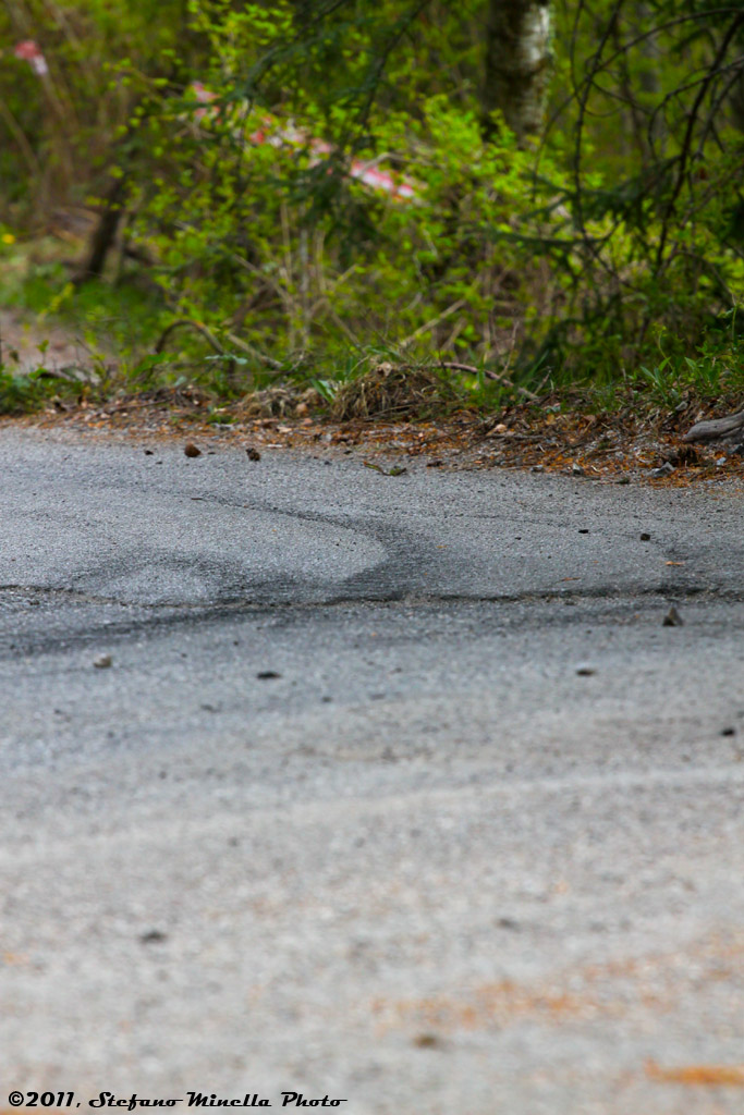 35� Rally 1000 Miglia [18]