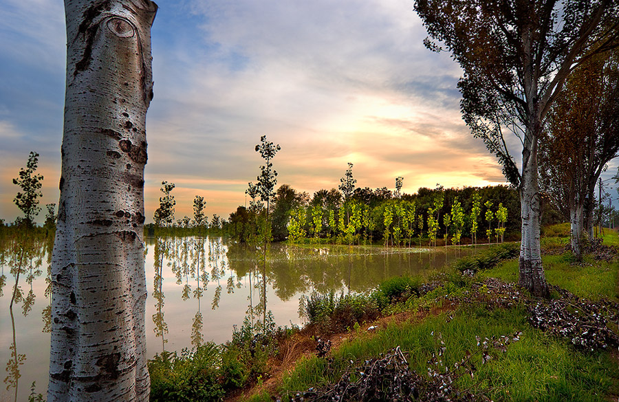Quando viene sera anche la piena del Po si placa