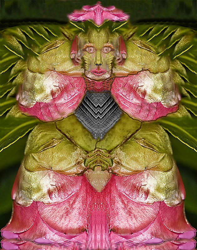 Giappone nell'immaginario