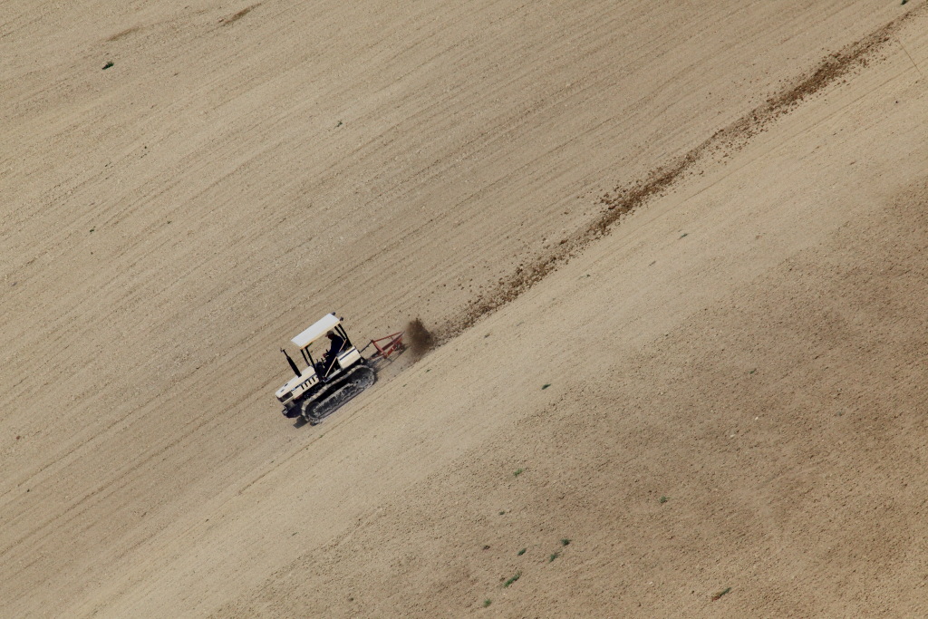 o=^o _. . . . . . . . . . . . .