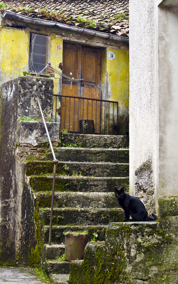 Caselle in Pittari 2