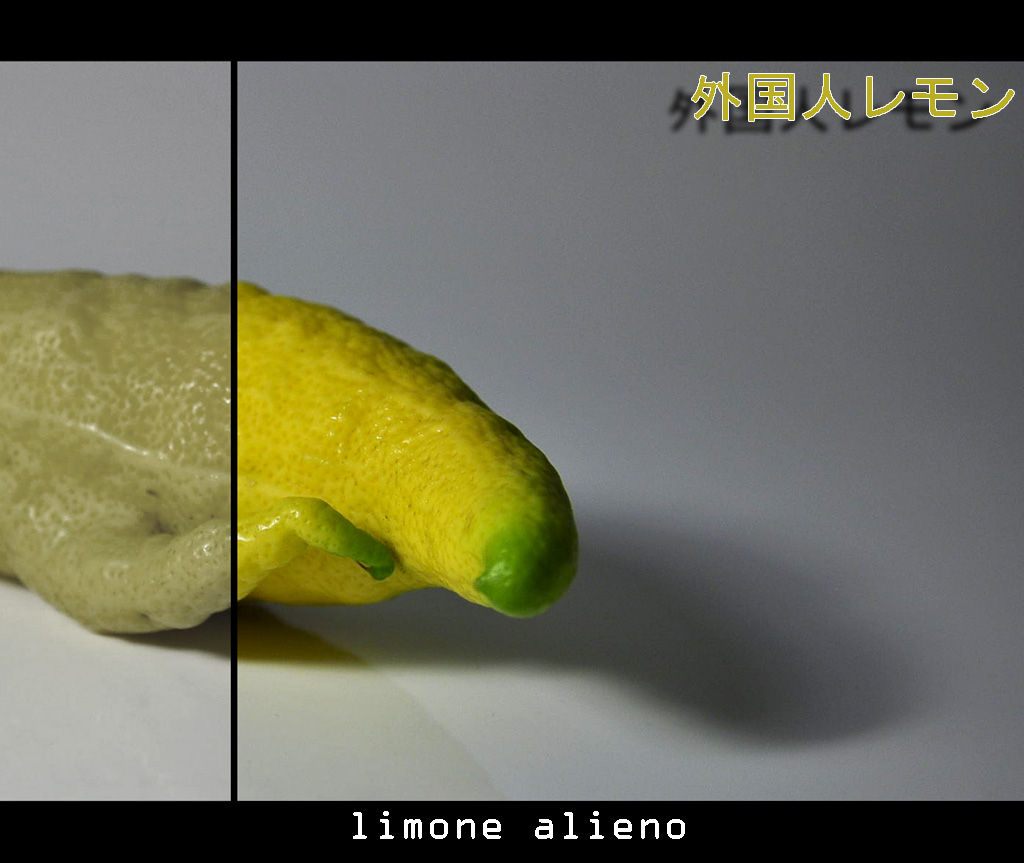 limone alieno