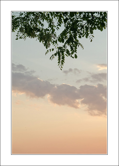 Fraseggi di un silenzio serale