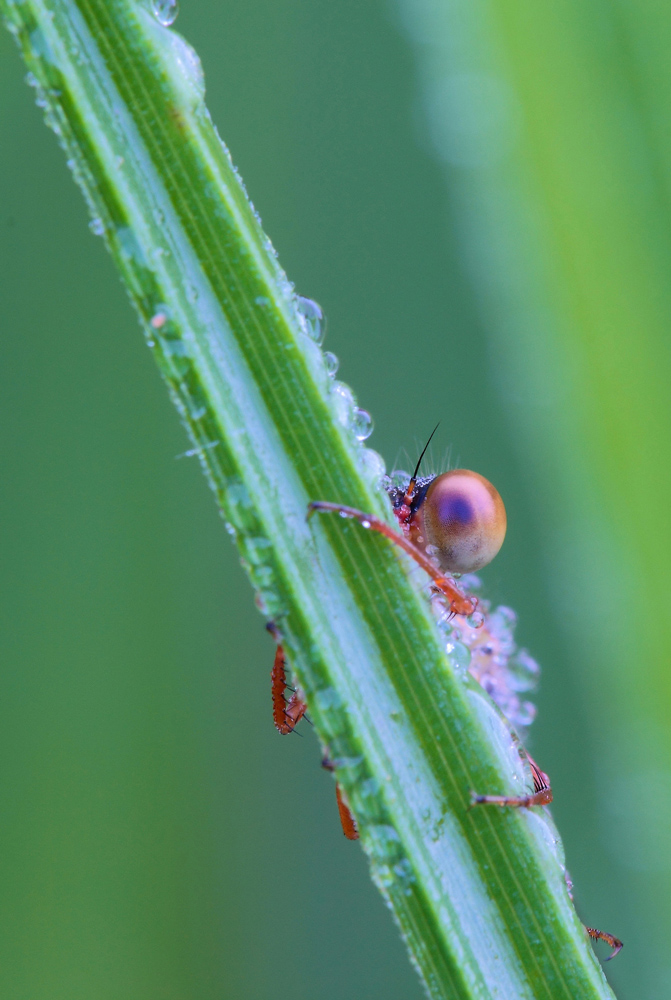 ...Vincere La Timdezza...!!!