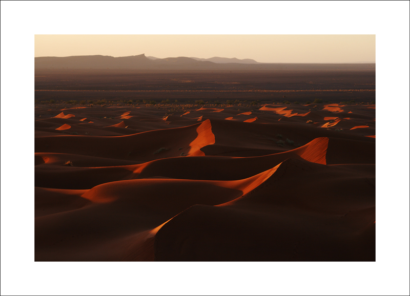 desert dream