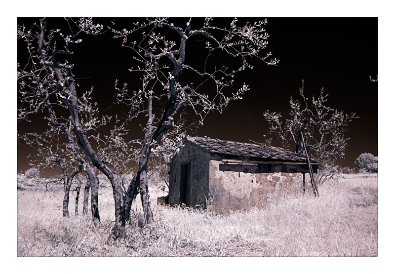 Dopo pranzo in campagna.