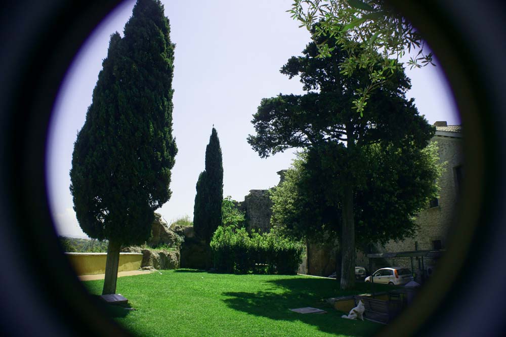 Chi �? no nulla solo un cane