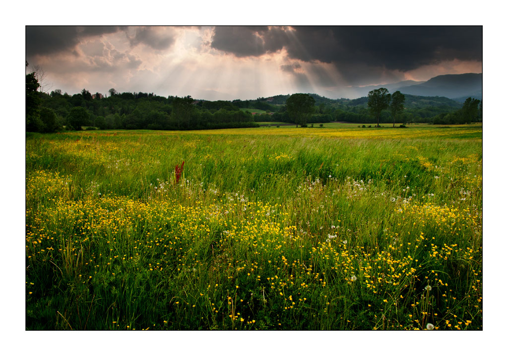 Val Sangone Landscape