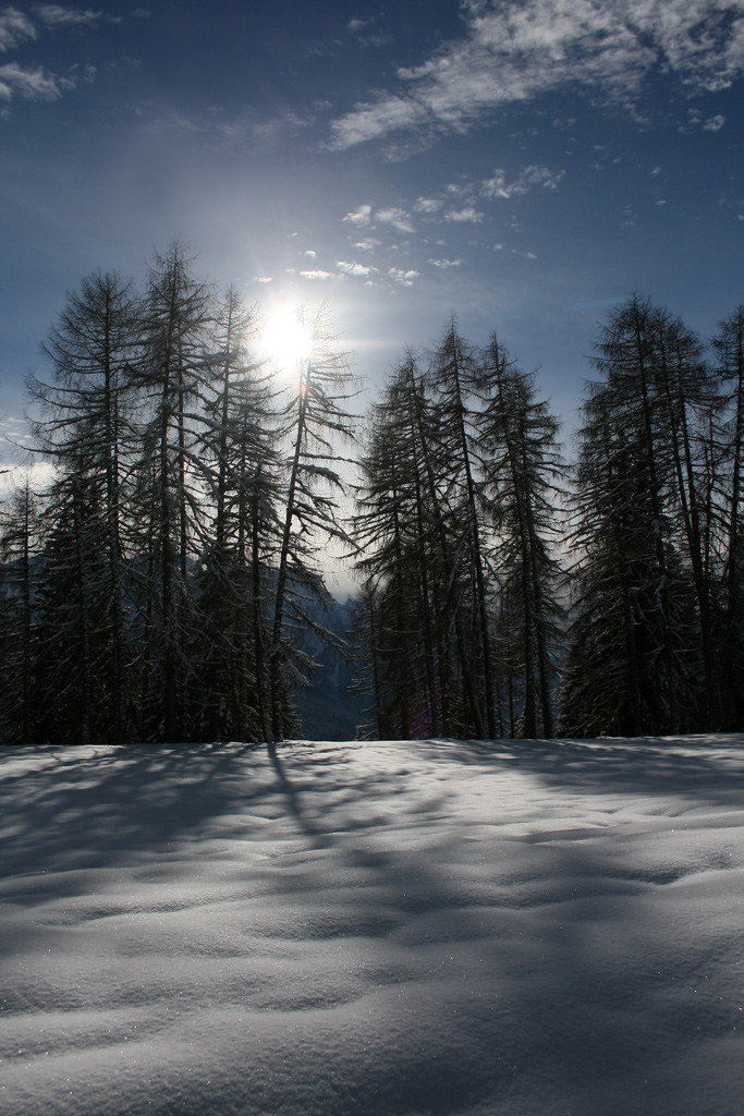 Contrasti sulla neve