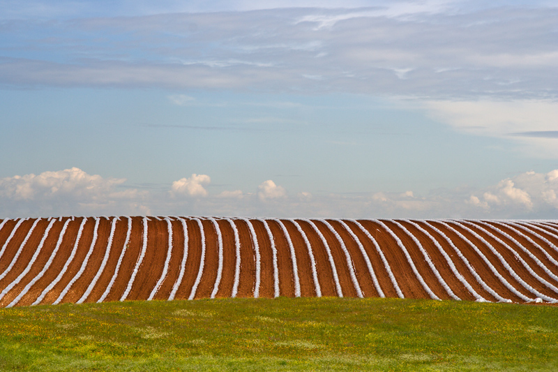 Contest Righe 5a classificata