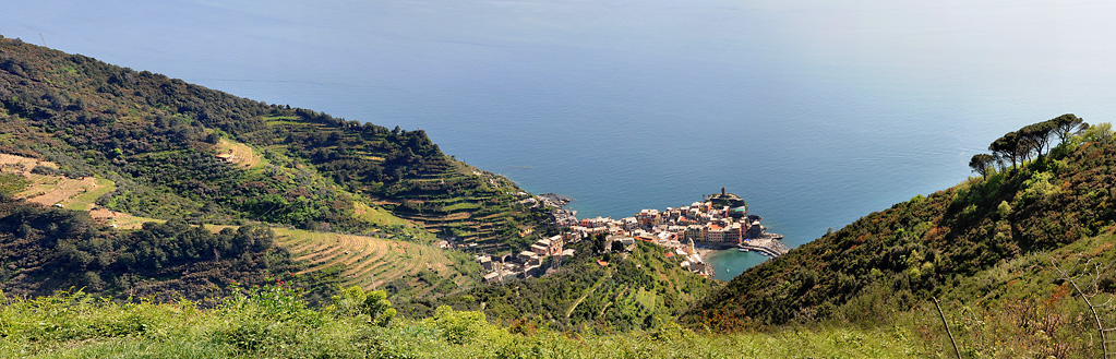 Vernazza dall'alto