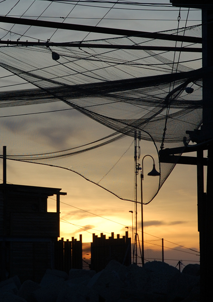 Trasparenze all'alba