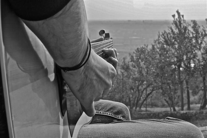 musica libera di volare