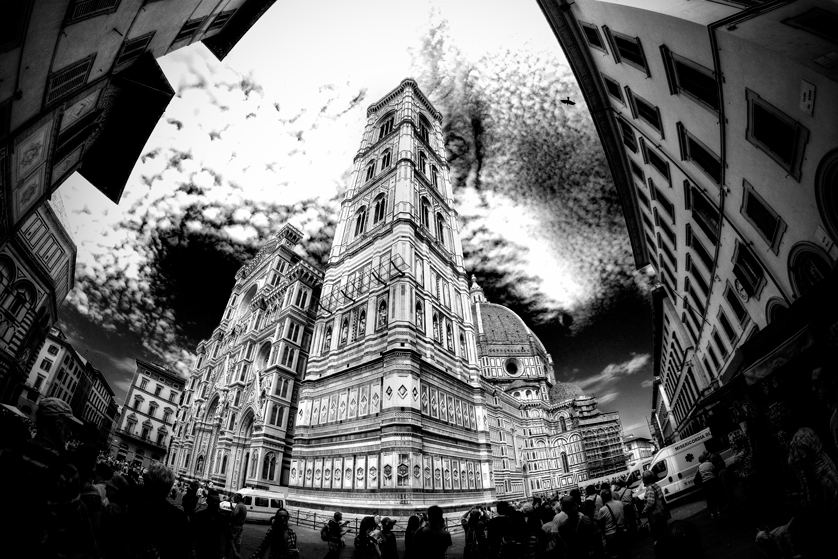 Mimetizzandosi con il cielo