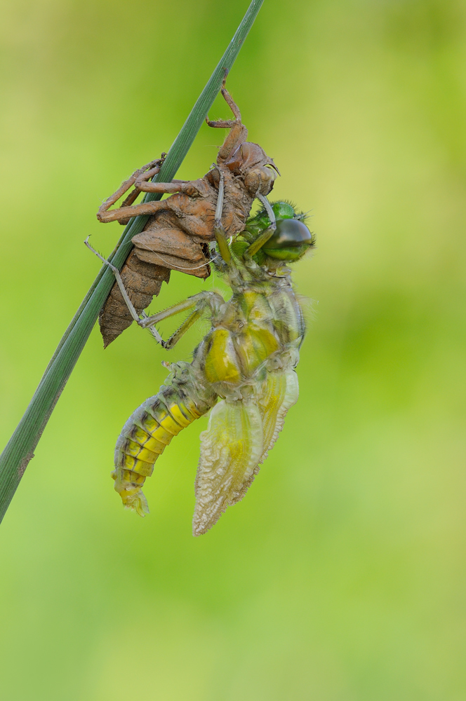 voglio volare ( 1� episodio )
