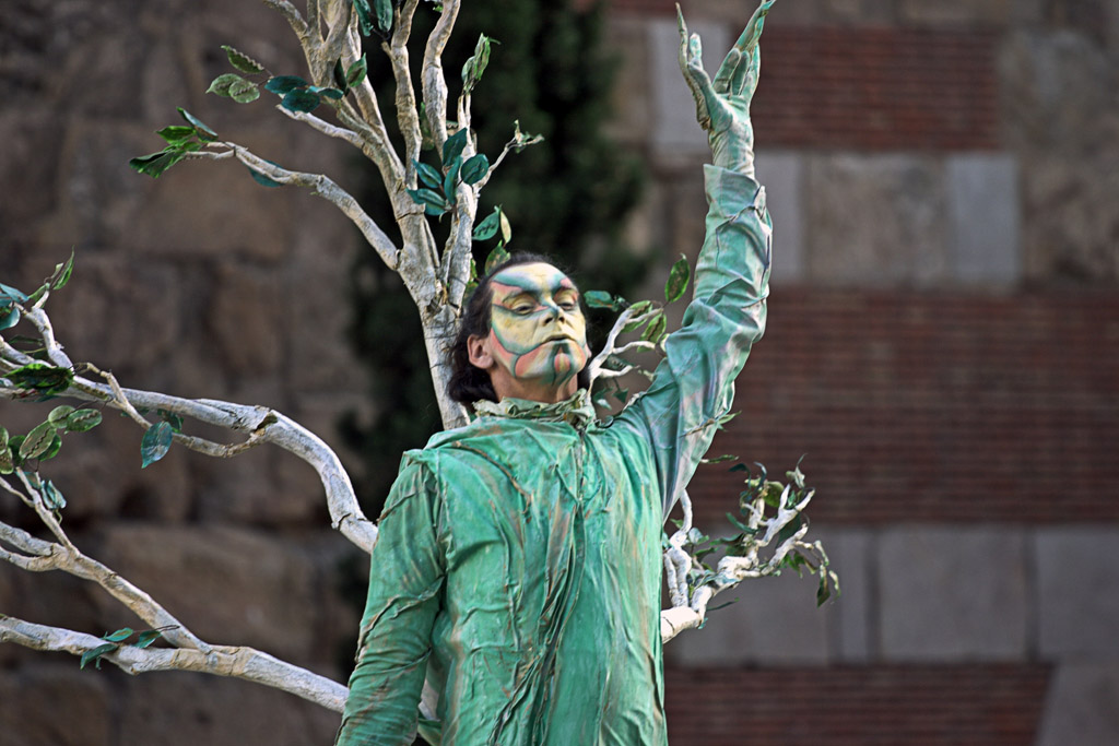 Artista di Strada (Albero)