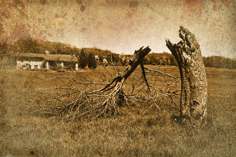 ...il passare del tempo