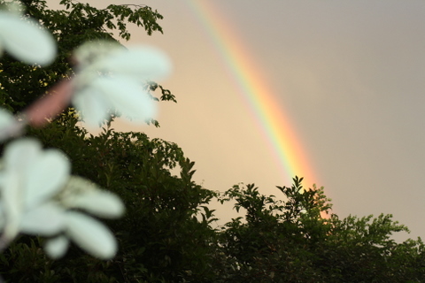 secondo arcobaleno