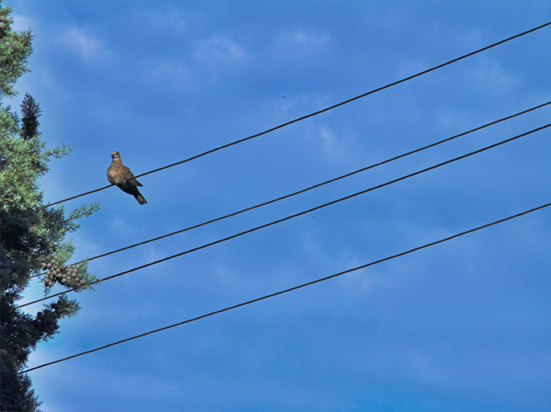 Quasi un Pentagramma