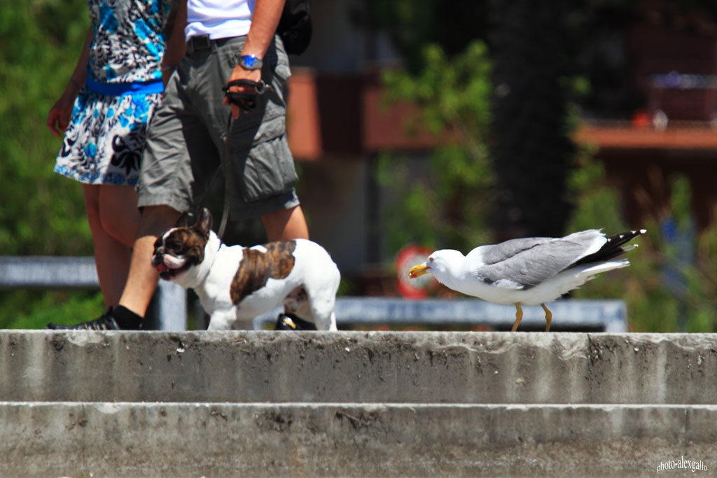 Perch� ti tengono legato? Io NO!!