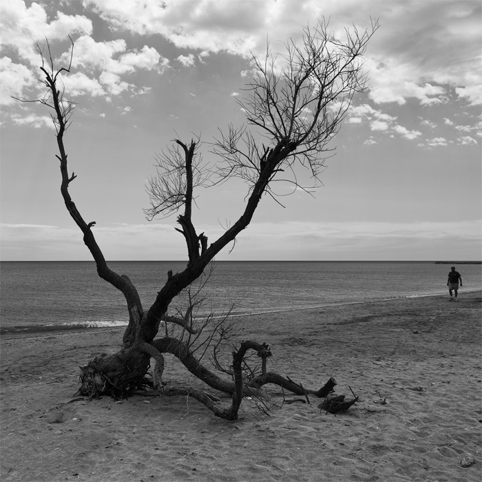 nonostante tutto il tempo scorre