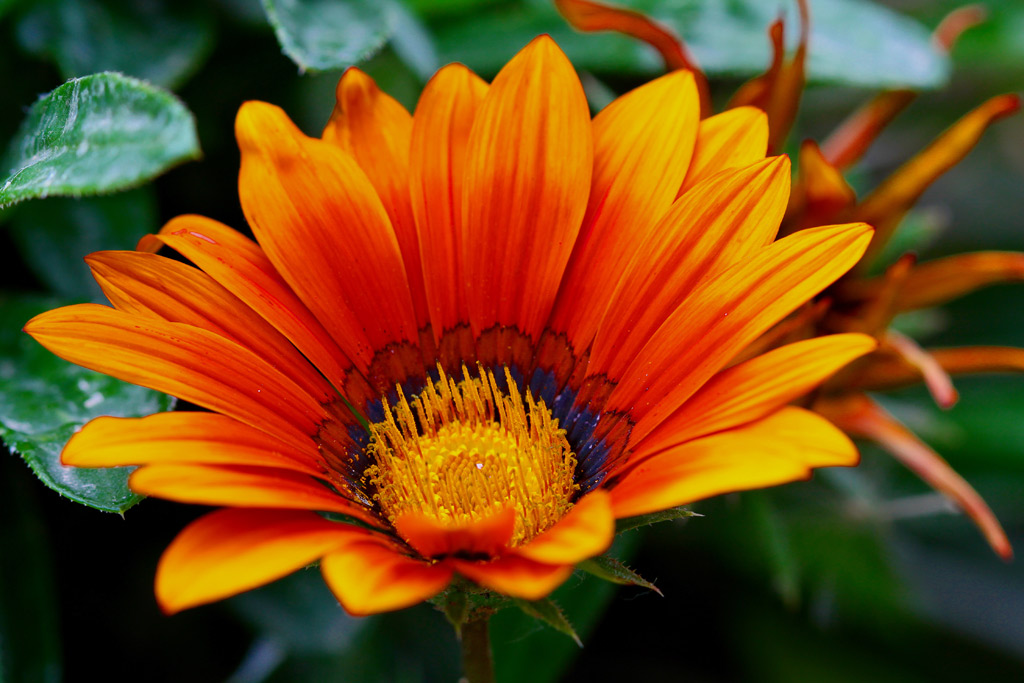 Il colore di una nuova Primavera