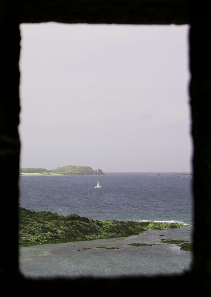 sguardo dalla finestra