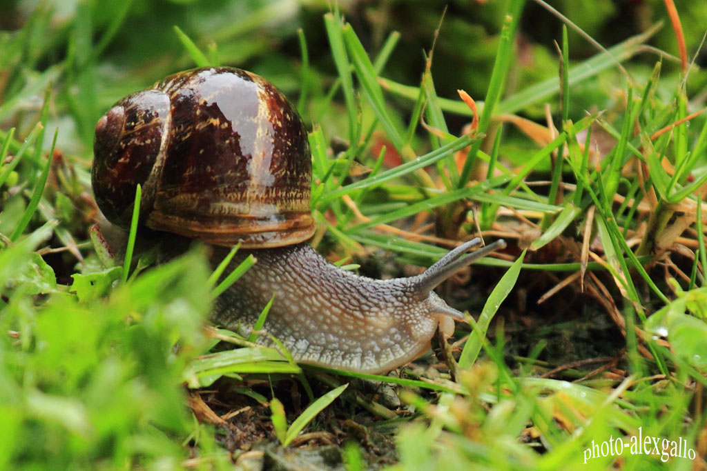 Con questo tempo.....