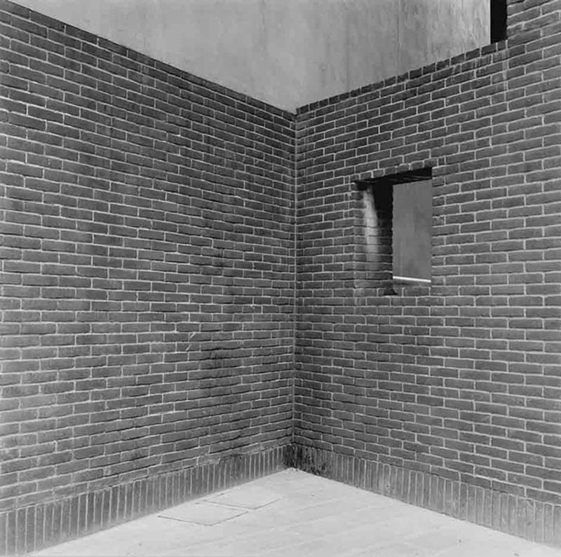 Ora d'aria - l'angolo dei dannati