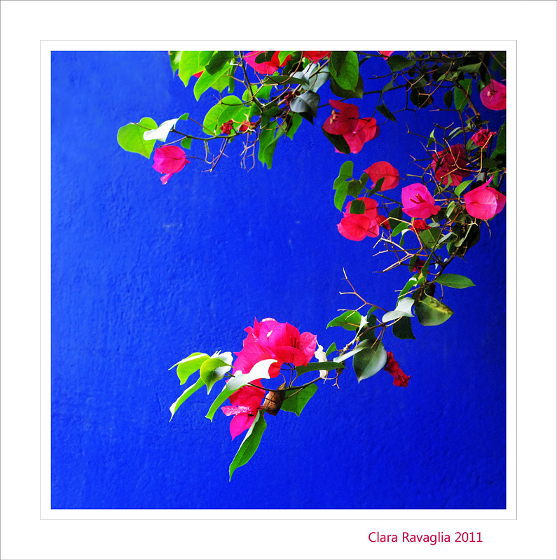 Blu.... green and pink