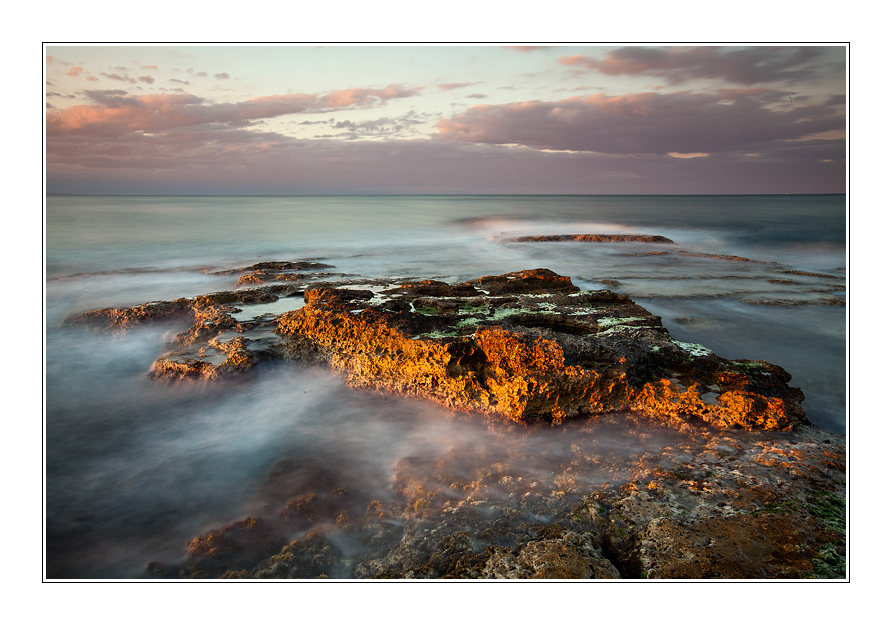 Testa di coccodrillo