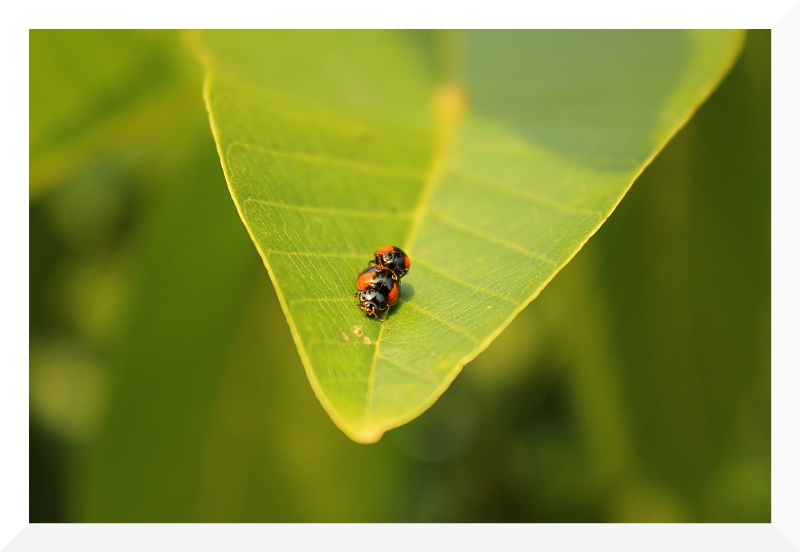 Momenti di intimit�